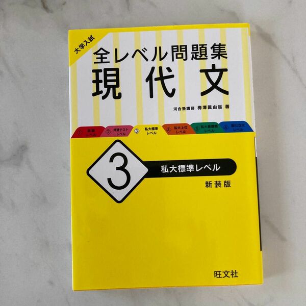 大学入試全レベル問題集現代文　３　新装版 （大学入試） 梅澤眞由起／著