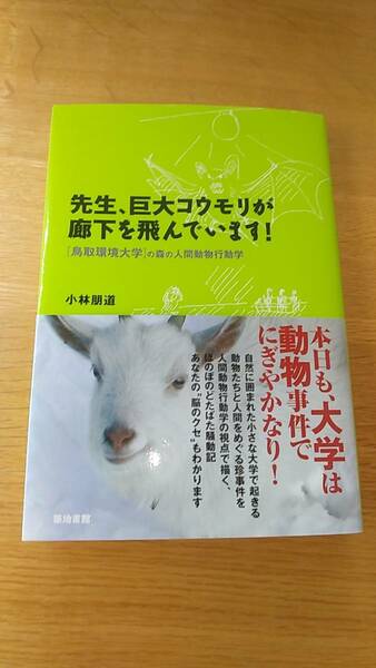 先生、巨大コウモリが廊下を飛んでいます。鳥取環境大学の森の人間動物行動学　小林朋道　中古品