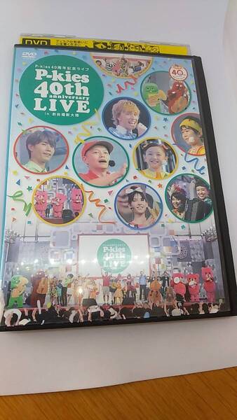 DVD P-kies 40th anniversary live 40周年記念ライブ レンタル落ち