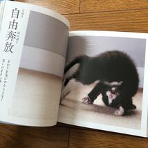 にゃんこ四字熟語辞典 ねこ 猫 ネコ 四字熟語 辞典　じてん 本 写真 国語 かわいい 面白い 笑える 学べる 日本語 ネコ写真_画像9