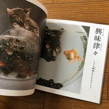 にゃんこ四字熟語辞典 ねこ 猫 ネコ 四字熟語 辞典　じてん 本 写真 国語 かわいい 面白い 笑える 学べる 日本語 ネコ写真_画像4