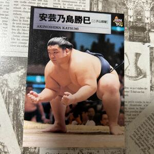 1997BBM 21 安芸乃島　勝巳　相撲カード