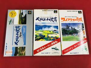 ペブルビーチの波濤 NEW ペブルビーチの波濤 ワイアラエの奇蹟 箱説 ハガキ 付 同梱可！即決！！大量出品中！！