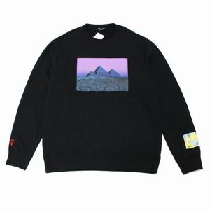 UNDERCOVER undercover 23SS SWEAT PF TDSOTM Pylamid/Prism sweat pink floyd 5 black 