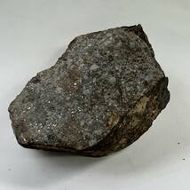 【E20924】石質隕石＊普通コンドライト＊隕石＊Condrite NWA869＊メテオライト_画像8