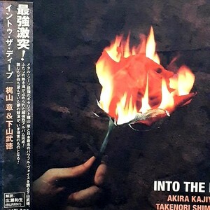 CD 梶山章 & 下山武徳 イントゥ・ザ・ディープ 国内HR/HM ヘヴィ・メタル 最強激突! IN TO THE DEEP エモーショナル・ギター ほぼ新品同様