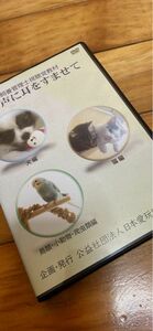 愛玩動物飼養管理士視聴覚教材