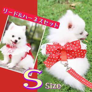 Sサイズ小型犬　犬服 レース&水玉赤色ハーネス　リードお揃い　お散歩　レッド