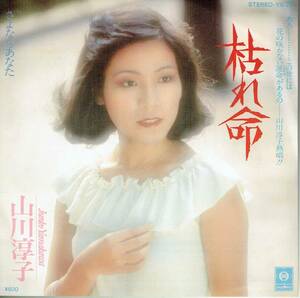 7インチ　シングル盤　見開きジャケ　枯れ命／さよならあなた　山川淳子　ユピテル