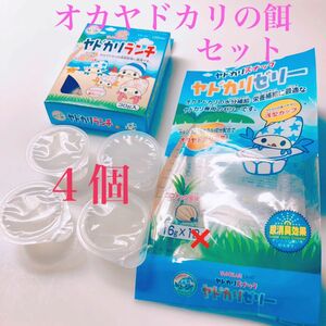 オカヤドカリ専用 餌セット ヤドカリランチ ヤドカリゼリー 栄養補給