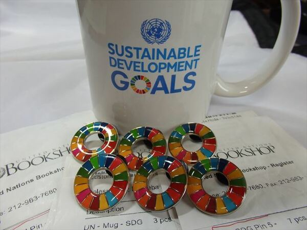  SDGs ピンバッジ 6個（4840円税込・送料無料・国連ブックショップ購入）ラバークラスプ再生素材（新品未使用）（保存袋付6枚き）UN16