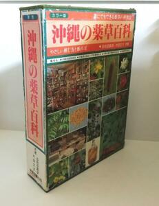 ★沖縄の薬草百科　誰にでもできる薬草の利用法 やさしい煎じ方と飲み方　多和田真淳・大田文子（沖縄・琉球・植物）