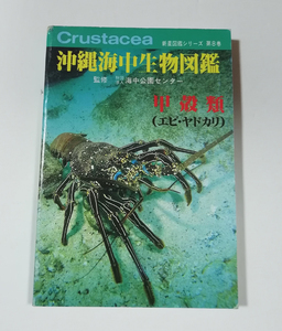 * free shipping Okinawa sea middle living thing illustrated reference book 8 volume crustaceans shrimp * hermit crab ( Okinawa *. lamp )