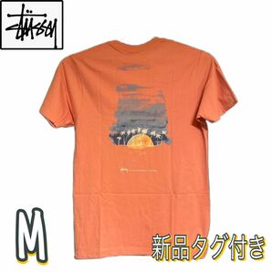 【新品未使用】STUSSY｜ステューシー Horizon tee ホライゾン Tシャツ 半袖 ピンク サイズ：M