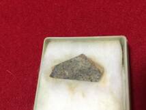 魚 化石 始新世 約 5千万年前 アメリカ ワイオミング州 小魚の骨の 化石標本 rotalocephalus Trilobite U.S.A 珍品 プラ箱入り観賞石 置物_画像4