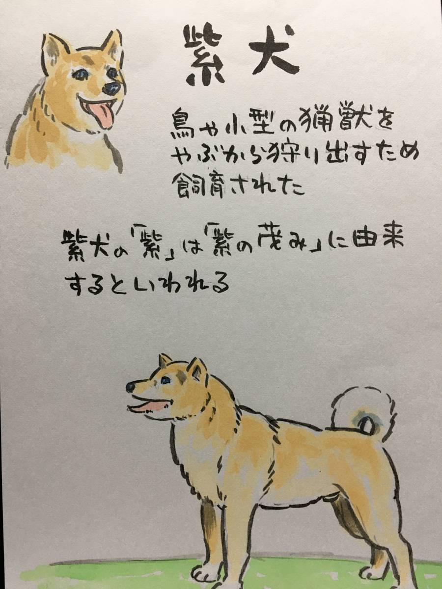 Wataru Takahashi Wataru Takahashi Wataru Takahashi Auténtico artista de manga Pintura dibujada a mano Pintura acuarela Pintura de paisaje Pintura Ilustración dibujada a mano perro Shiba Inu Dibujo Poesía Canción Perro guía Pintura de animales, cuadro, acuarela, dibujo de animales