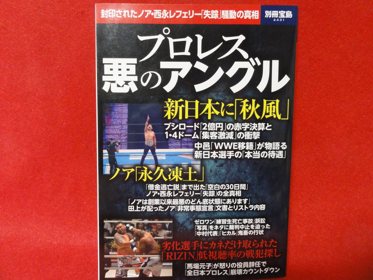 2023年最新】ヤフオク! -宝島 プロレスの中古品・新品・未使用品一覧