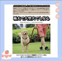 XLサイズ リード 首輪 極太 ドッグ ハーフチョーク 編込み 大型犬 中型犬 ピンク紫_画像2