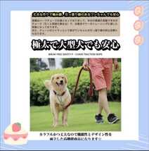 Lサイズ リード 首輪 丈夫 ドッグ ハーフチョーク 編込み 大型犬 中型犬 黒赤_画像3