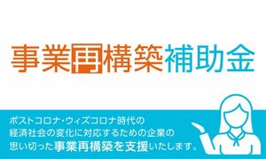 第11回対応｜事業再構築補助金 事業計画書 ひな形・テンプレート