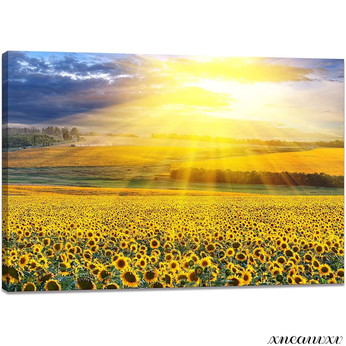 Sunflower field art panel nature sun spectacular view interior scenery wall hanging room decoration canvas painting fashion good luck overseas art appreciation redecoration, artwork, painting, graphic