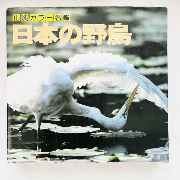 【即決価格】【送料無料】日本の野鳥 山渓 名鑑 カラー 鳥 本