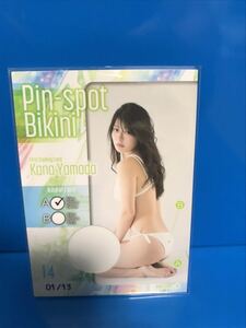  good part!!! trading card HIT'S [ mountain rice field ..[ First * trading card ] pin spo bikini card 14 (1/13)]