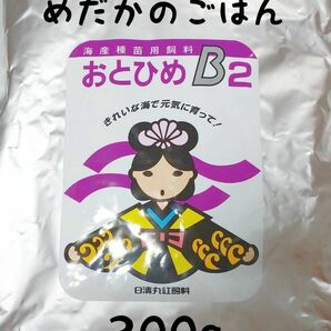 〇めだかのごはん おとひめB2 300g グッピー 熱帯魚　リパック品