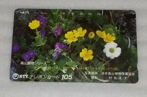 未使用テレフォン カード 105度数 高山植物シリーズ梅雨のさなか南アルプス北岳 山頂付近にだけ咲く花キタダケソウ白 他オヤマノエンドウ紫