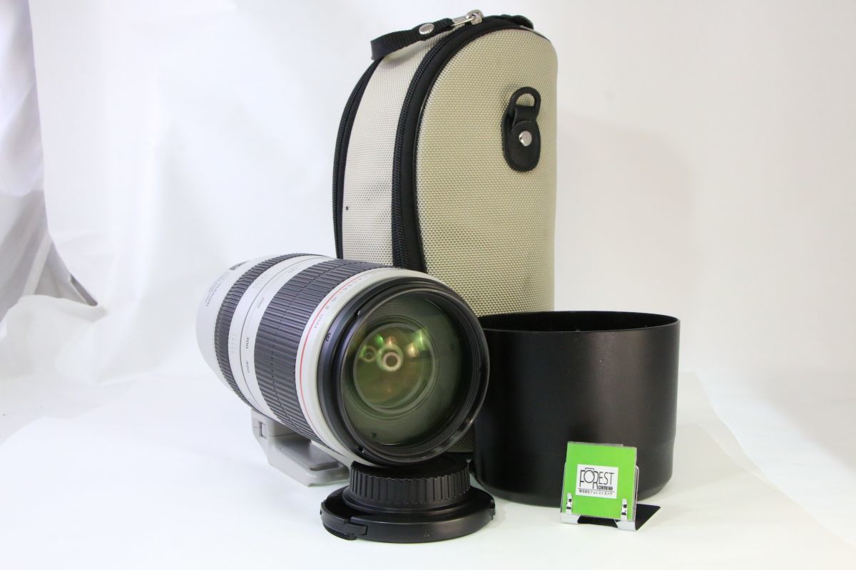 2023年最新】Yahoo!オークション -canon 100-400 iiの中古品・新品・未