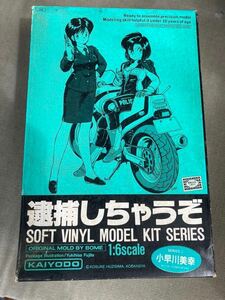 逮捕しちゃうぞ ガレージキット ソフビキット 海洋堂　逮捕しちゃうぞ　1/6 小早川美幸　プラモデル 海洋堂 当時物