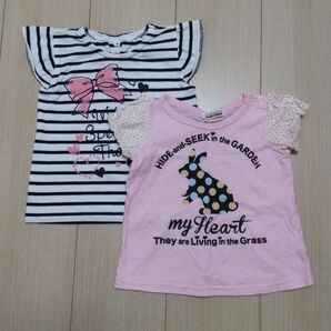 半袖Tシャツ　ブランシェス　Branshes　トップバリュ