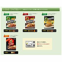 ハウスレトルトジャワカレー辛口 200G ×10個 [レンジ化対応・レンジで簡単調理可能]_画像4