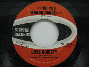 LOVE SOCIETY-Do You Wanna Dance / Without You
