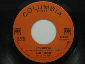 MARK LINDSAY-Miss America / Small Town Woman