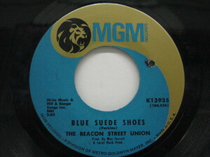 BEACON STREET UNION-Blue Suede Shoes