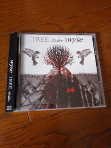 中古邦楽CD wyse / TREE-Evolve-