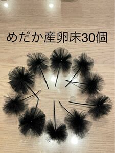 《めだか産卵床30個（チュール生地黒）の商品》