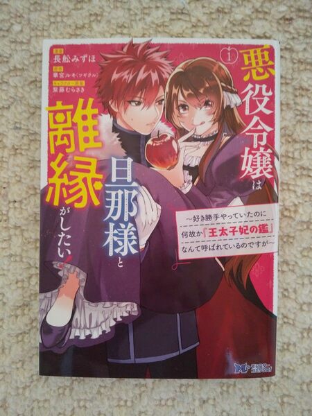 悪役令嬢は旦那様と離縁がしたい! 1 長舩みずほ