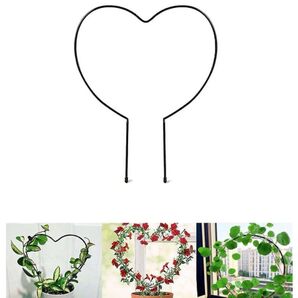 ハート型 植物支柱 観葉支柱 つる性植物 ガーデニング用品