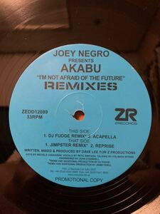 ★Joey Negro Presents Akabu Remixes / I'm Not Afraid Of The Future ★Dave Lee ★ David Morales Louie Vega Blaze Timmy Regisford