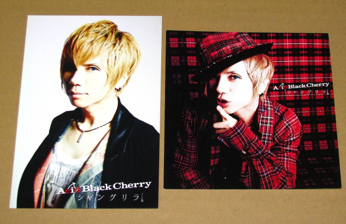 2025年最新】Yahoo!オークション -acidblackcherry カードの中古 2025年最新】Yahoo!オークション -acidblackcherry カードの中古