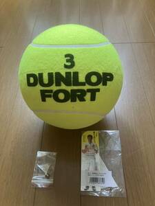 [ не продается ] Dunlop four to55 годовщина jumbo мяч сосна холм . структура автограф 