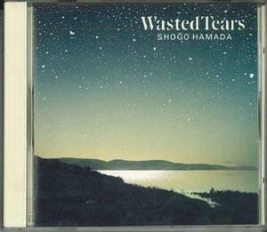 CD 浜田省吾 Wasted Teats SRCL2355 SONY /00110