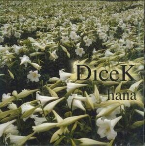CD Dicek Hana SBSC001 SPRING BOARD /00110