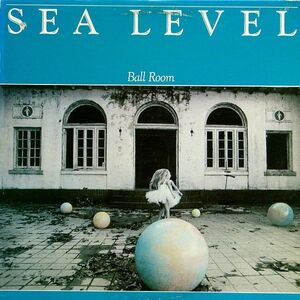 米LP Sea Level (Allman Brothers Band) Ball Room AL9531 ARISTA /00260