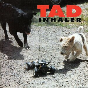 米CD Tad Inhaler 9245252 Giant Records /00110