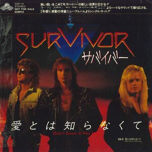 7 Survivor Don't Know It Was Love / SSP12PROMO SCOTTI BROS プロモ /00080