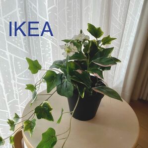 【新品】IKEA イケア フェイクグリーン（フェイカ）人工観葉植物 造花