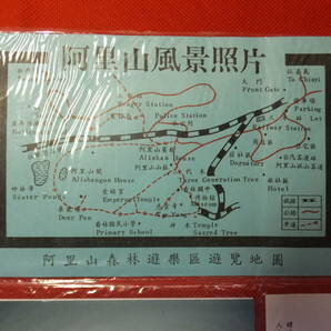 民国74年 (1985年) 当時もの 台湾 阿里山風景照片 阿里山風景写真 10枚組 中古の画像7